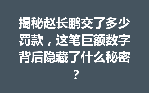 揭秘赵长鹏交了多少罚款,这笔巨额数字背后隐藏了什么秘密? 揭秘赵长鹏交了多少罚款,这笔巨额数字背后隐藏了什么秘密?