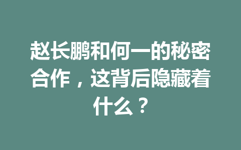 赵长鹏和何一的秘密合作,这背后隐藏着什么? 赵长鹏和何一的秘密合作,这背后隐藏着什么?