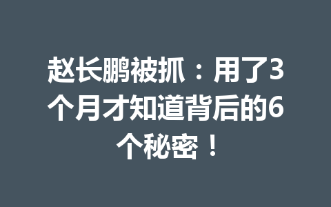 赵长鹏被抓：用了3个月才知道背后的6个秘密！