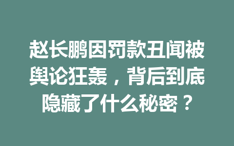 赵长鹏因罚款丑闻被舆论狂轰，背后到底隐藏了什么秘密？