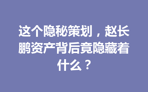 这个隐秘策划，赵长鹏资产背后竟隐藏着什么？