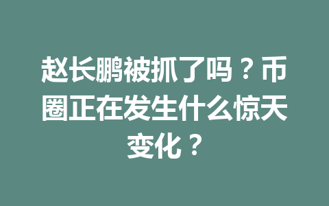 赵长鹏被抓了吗?币圈正在发生什么惊天变化? 赵长鹏被抓了吗?币圈正在发生什么惊天变化?