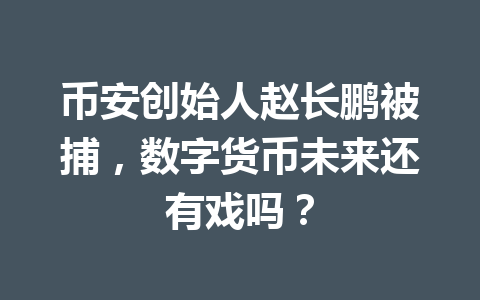 币安创始人赵长鹏被捕，数字货币未来还有戏吗？