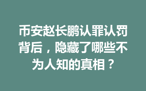 币安赵长鹏认罪认罚背后,隐藏了哪些不为人知的真相? 币安赵长鹏认罪认罚背后,隐藏了哪些不为人知的真相?