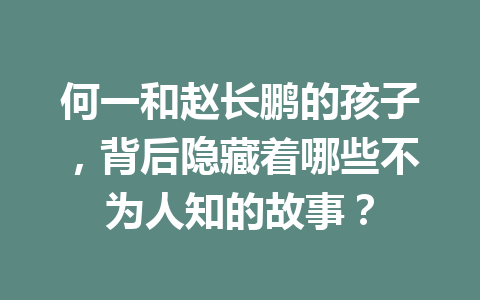 何一和赵长鹏的孩子,背后隐藏着哪些不为人知的故事? 何一和赵长鹏的孩子,背后隐藏着哪些不为人知的故事?