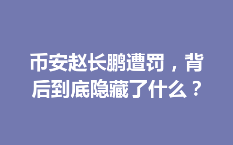 币安赵长鹏遭罚，背后到底隐藏了什么？