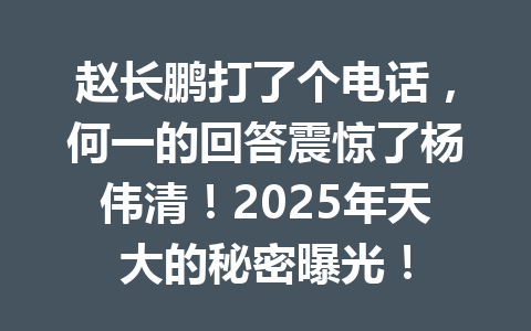 赵长鹏打了个电话，何一的回答震惊了杨伟清！2025年天大的秘密曝光！