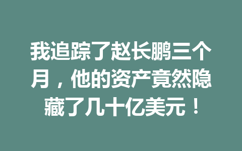 我追踪了赵长鹏三个月，他的资产竟然隐藏了几十亿美元！