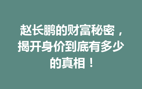 赵长鹏的财富秘密,揭开身价到底有多少的真相! 赵长鹏的财富秘密,揭开身价到底有多少的真相!