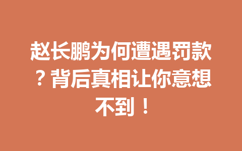 赵长鹏为何遭遇罚款？背后真相让你意想不到！