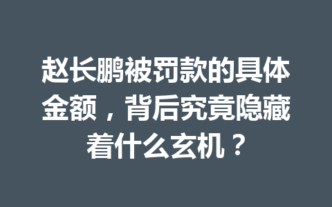 赵长鹏被罚款的具体金额，背后究竟隐藏着什么玄机？