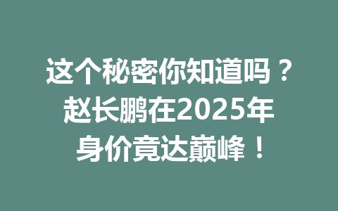 这个秘密你知道吗？赵长鹏在2025年身价竟达巅峰！