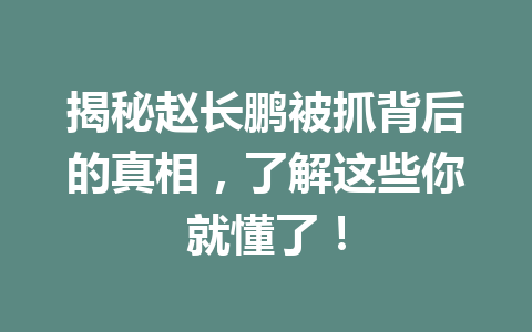 揭秘赵长鹏被抓背后的真相,了解这些你就懂了! 揭秘赵长鹏被抓背后的真相,了解这些你就懂了!