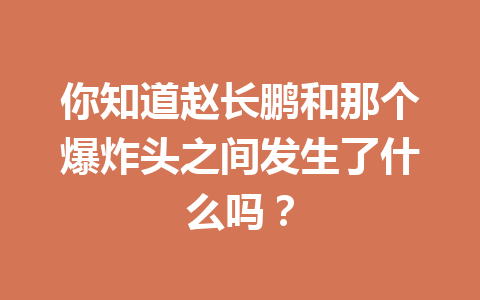你知道赵长鹏和那个爆炸头之间发生了什么吗？
