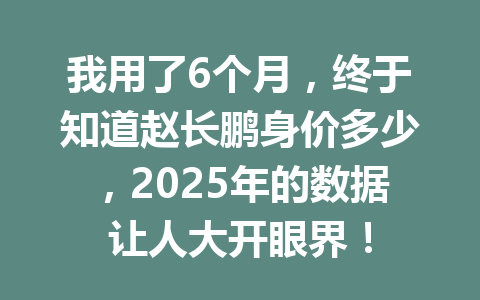我用了6个月,终于知道赵长鹏身价多少,2025年的数据让人大开眼界! 我用了6个月,终于知道赵长鹏身价多少,2025年的数据让人大开眼界!