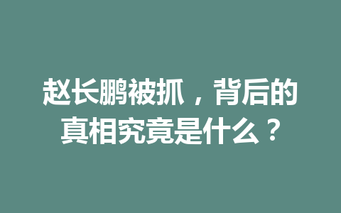 赵长鹏被抓，背后的真相究竟是什么？